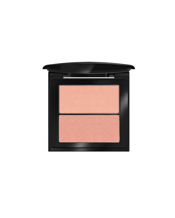 هایلایتر این لی